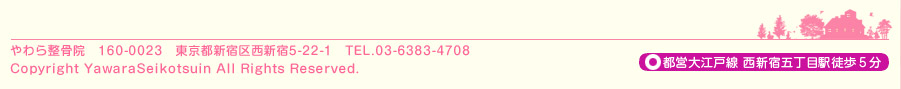 160-0023������Կ��ɶ�������5-22-1��TEL.03-6383-4708